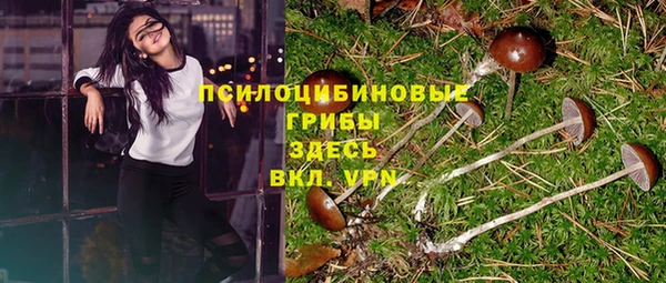 стафф Алексин